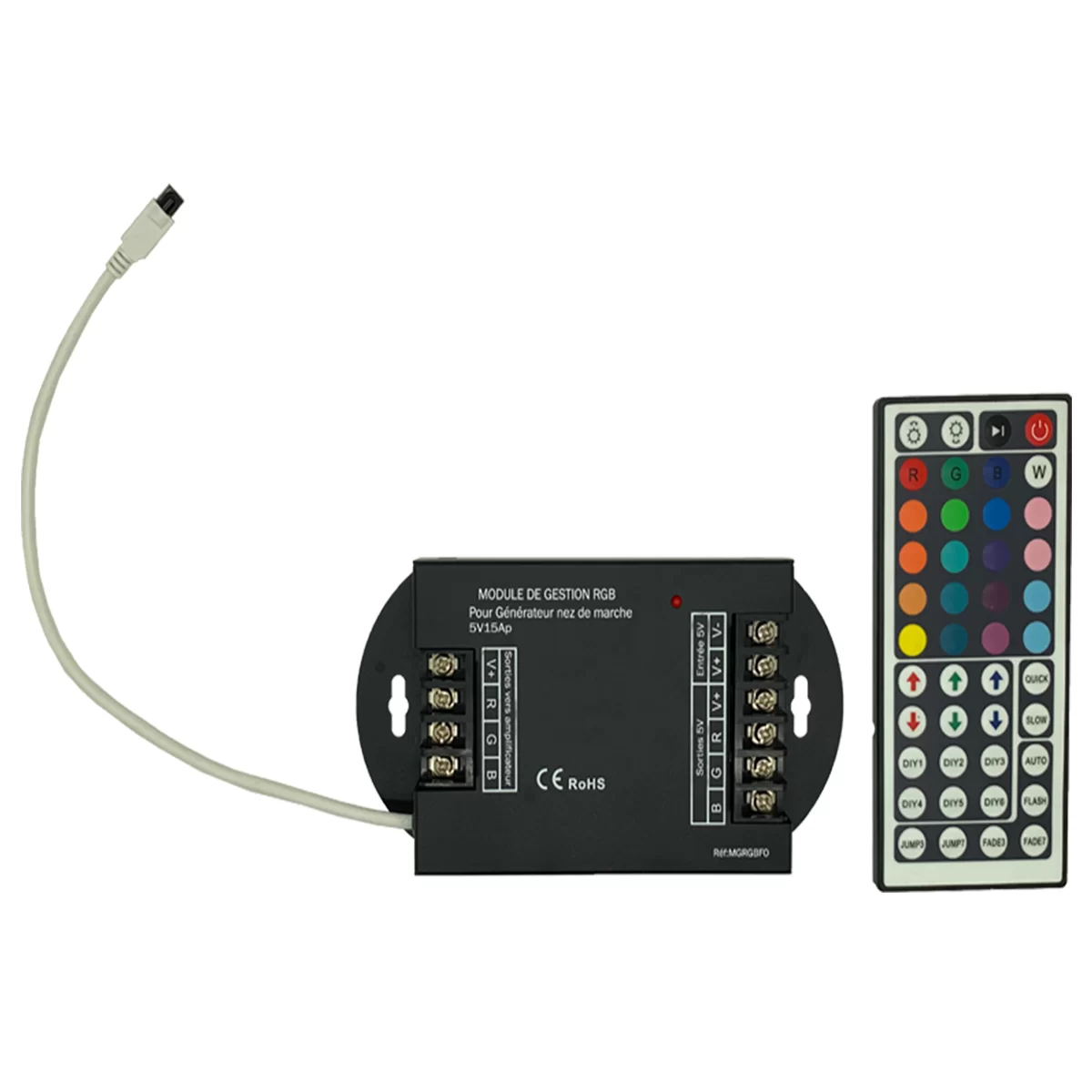 Module de gestion avec télécommande pour spot à Leds CcomOciné 12 V 10 A