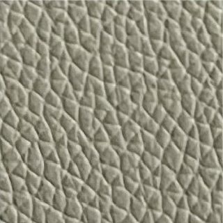 Cuir texture