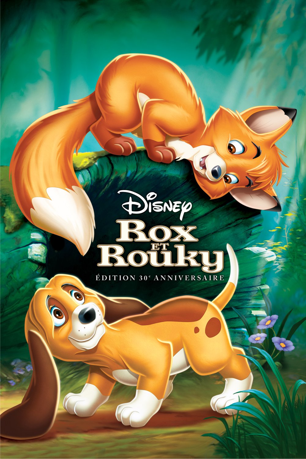 Rox et Rouky