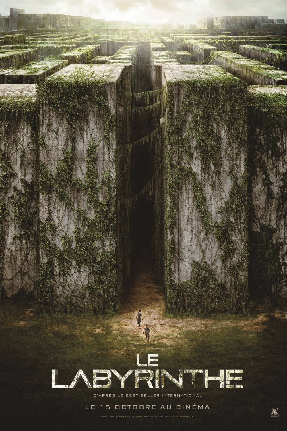 The Maze Runner